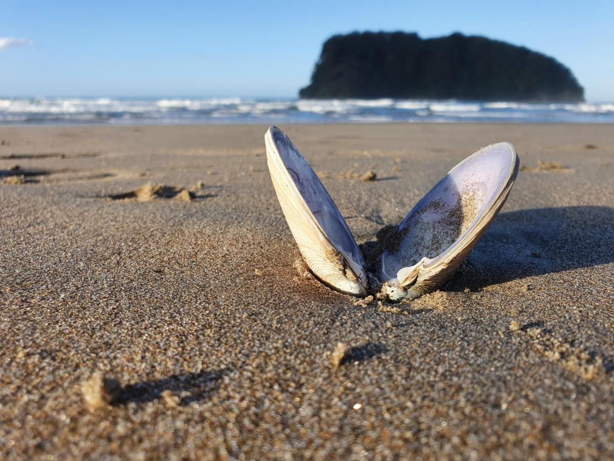 Breakers Motel Whangamata Zewnętrze zdjęcie